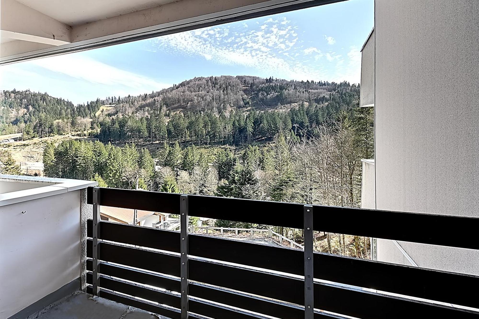 Апартаменти Le Cocoon - Appt Vue Montagne Ла-Бресс Екстер'єр фото